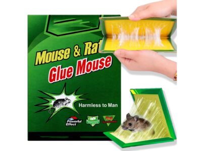 PUŁAPKA NA MYSZY LEP 24x17 10SZT