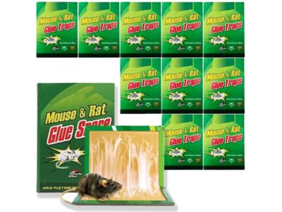 PUŁAPKA NA MYSZY LEP 31x21 XXL 10SZT