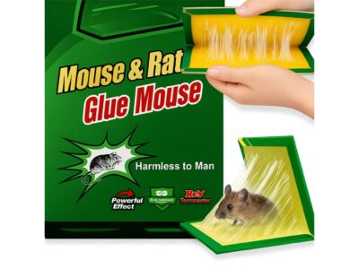 PUŁAPKA NA MYSZY LEP 31x21 XXL 1SZT