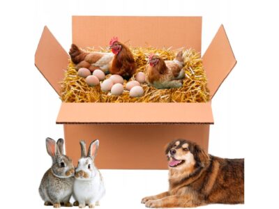 SŁOMA KOSTKA PODŁOŻE 8% / 4kg