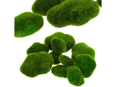 KAMIENIE KAMYKI Z MCHU MECH DO STROIKA 10SZT