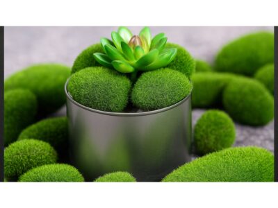 KAMIENIE KAMYKI Z MCHU MECH DO STROIKA 10SZT