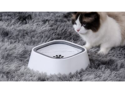 MISKA NIECHLAPIĄCA PODAJNIK WODY DLA PSA KOTA 22,8x8cm