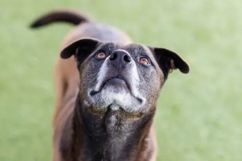 Hamilton thumbnail 2