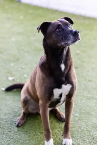 Hamilton thumbnail 3