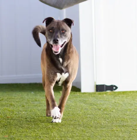 Hamilton thumbnail 4