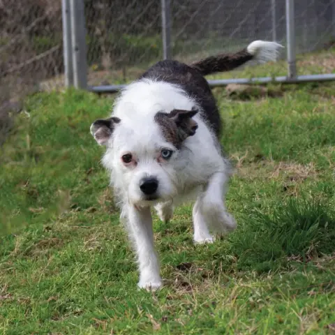 Princess thumbnail 3