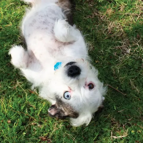 Princess thumbnail 4