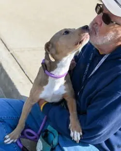 Cake Slice thumbnail 3