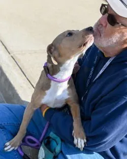 Cake Slice - Photo 3