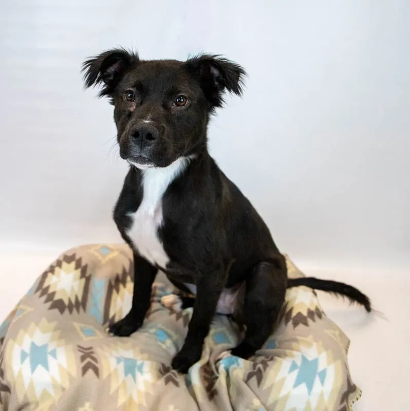 Holly Hobby - Photo 2