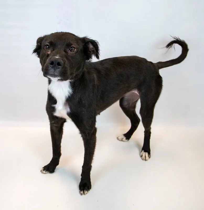 Holly Hobby - Photo 3