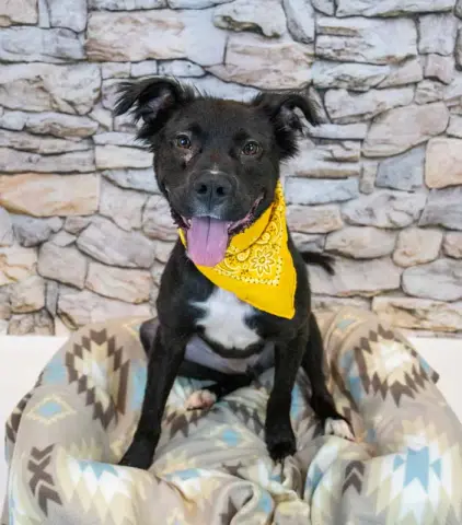 Holly Hobby thumbnail 5