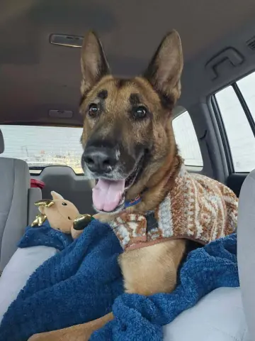 Doc Holiday thumbnail 4