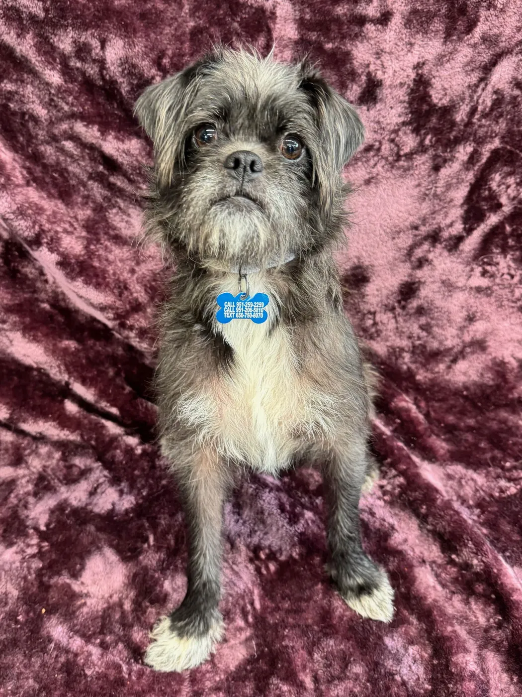 Girlfriend - Photo 1