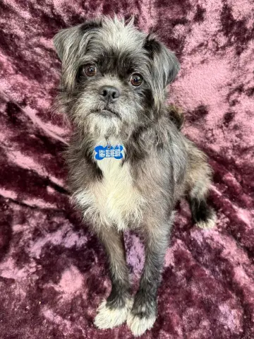 Girlfriend thumbnail 2