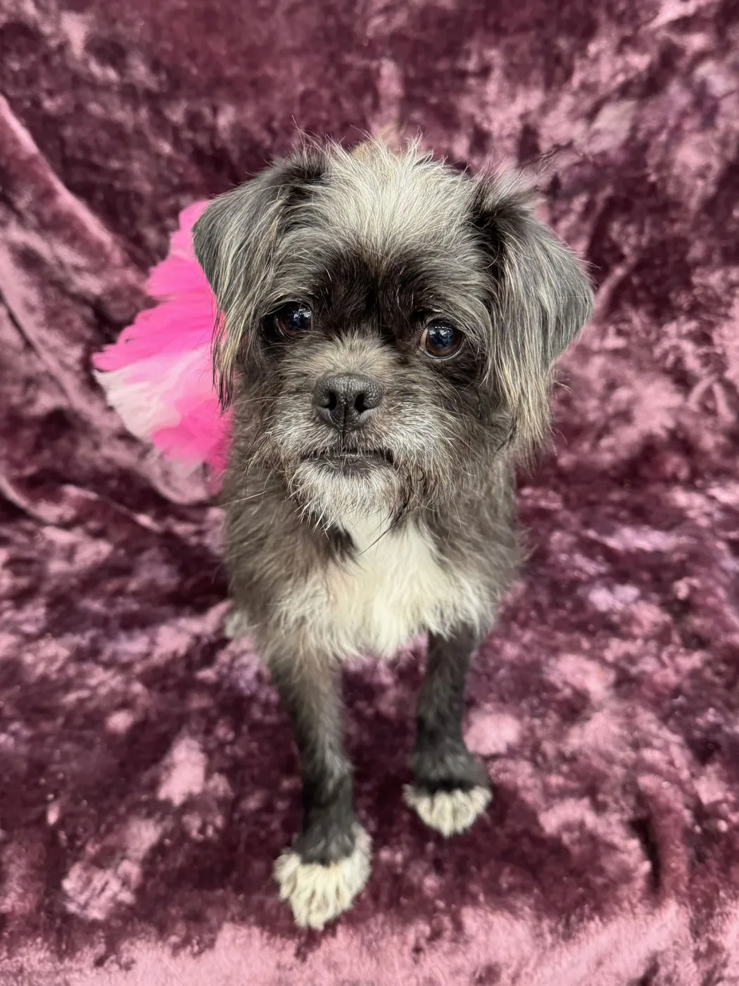 Girlfriend - Photo 3