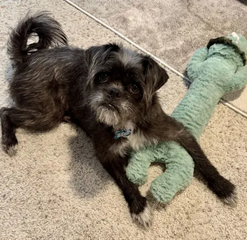 Girlfriend thumbnail 4