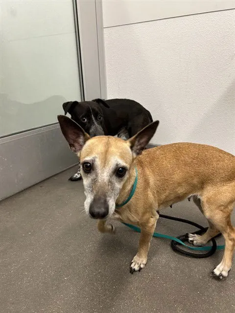 Billie Eilish - Photo 1