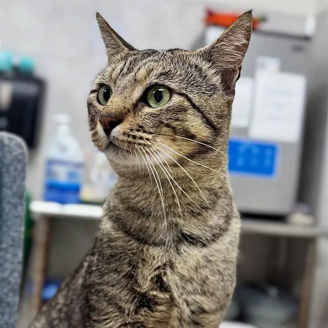 Tim Burton - Photo 1