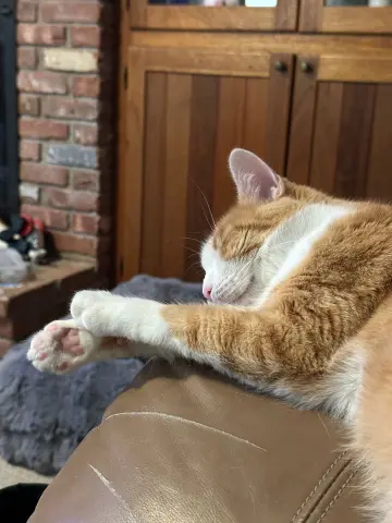 Mimi Ishi thumbnail 2