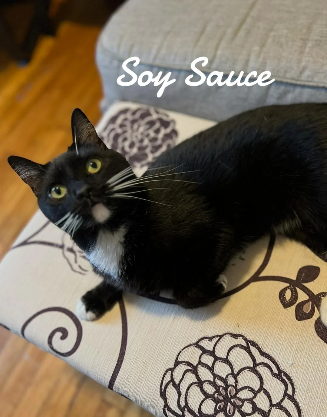 Soy Sauce - Photo 1