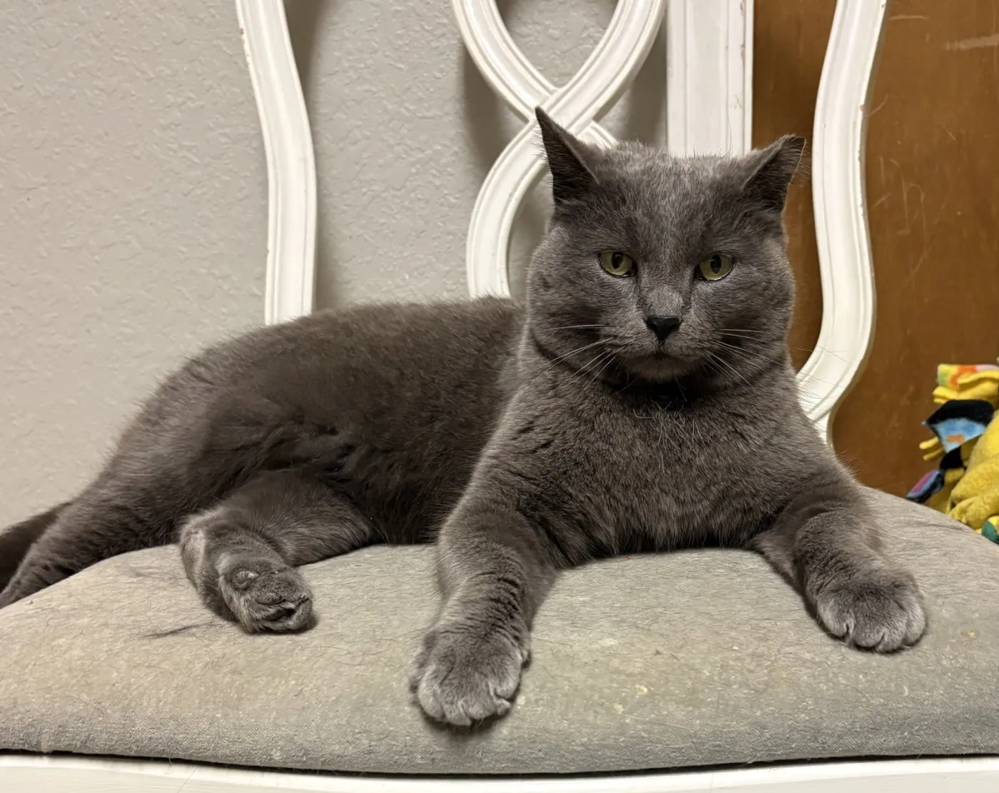 Smokey Mama - Photo 1