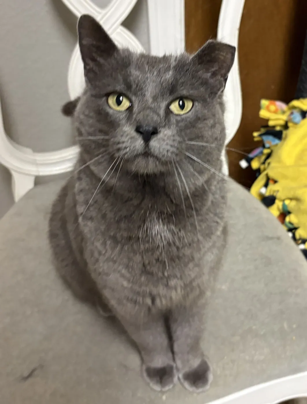 Smokey Mama - Photo 2