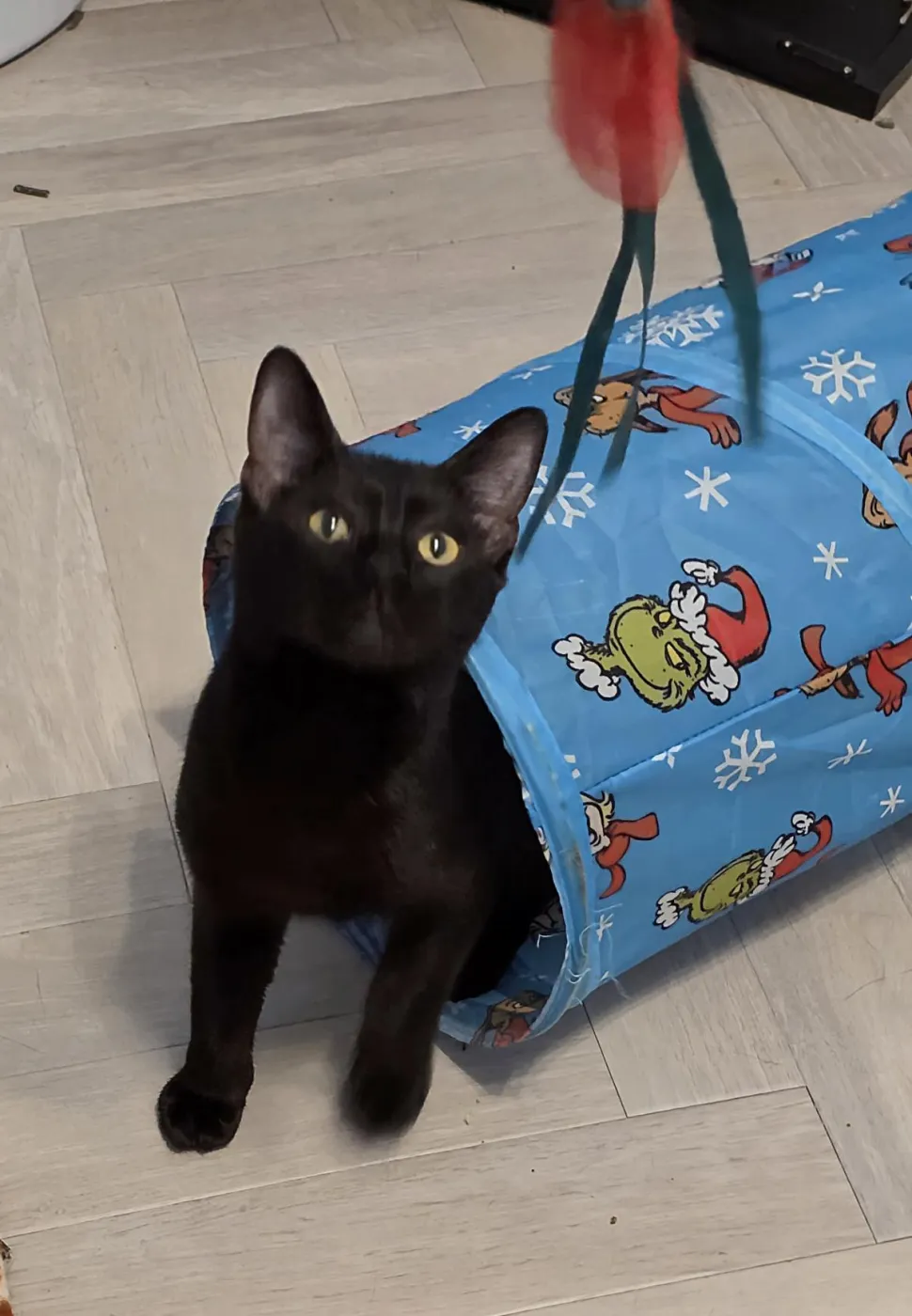 Farrah Pawcett - Photo 2