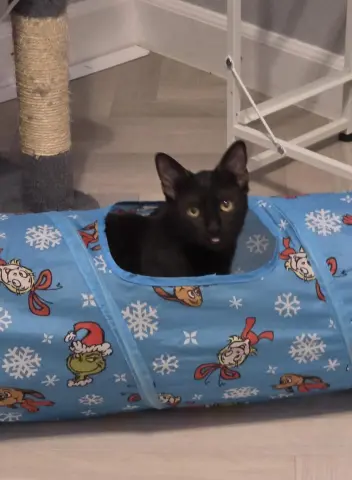 Farrah Pawcett thumbnail 4