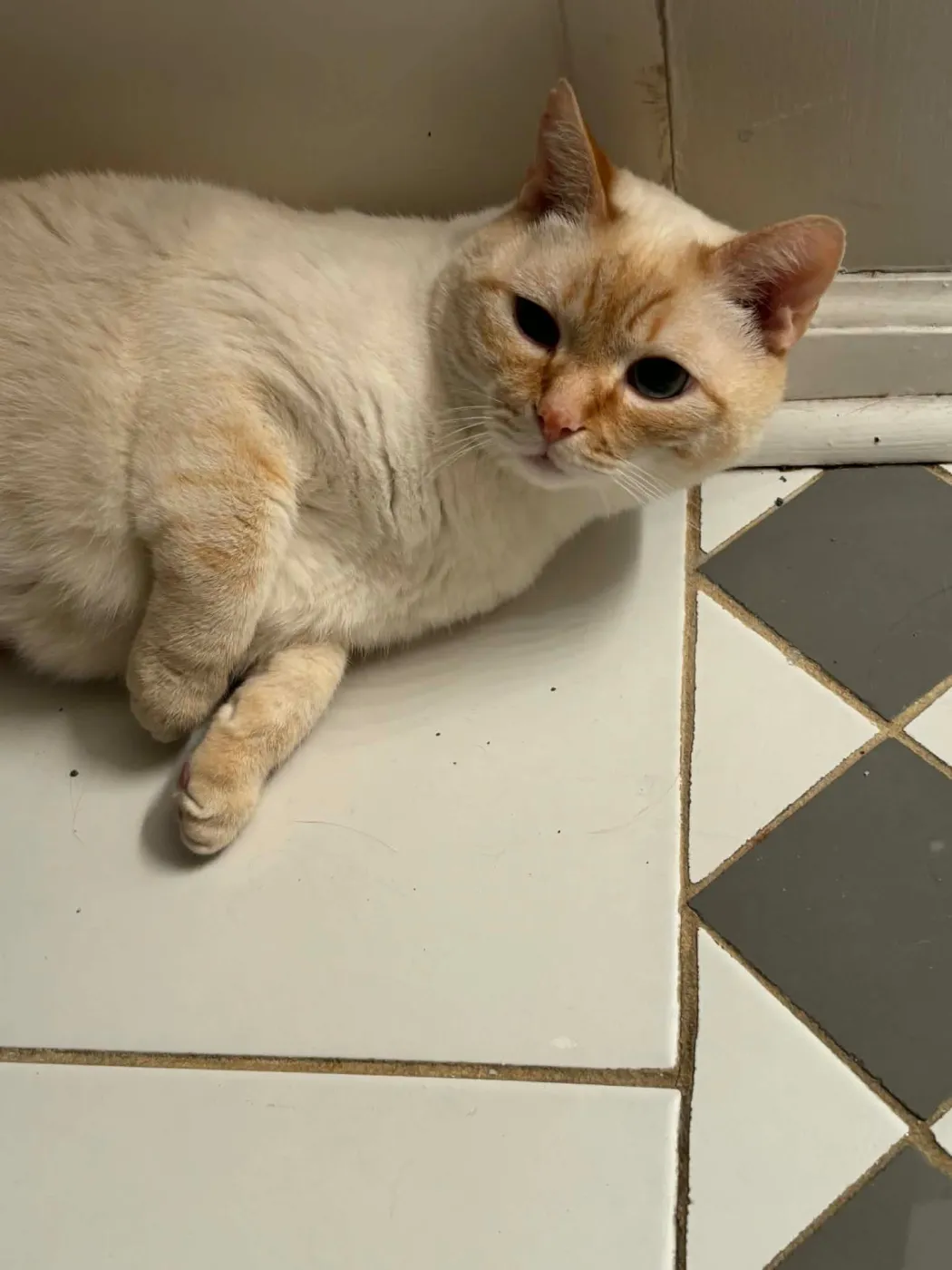 General Tso - Photo 2