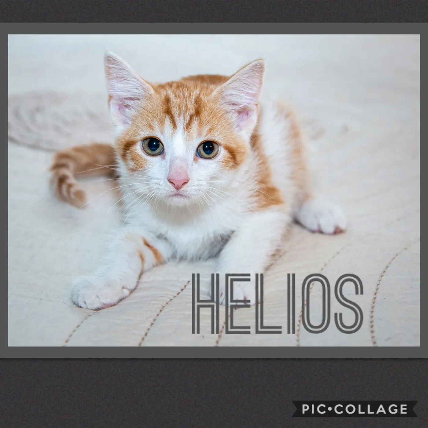 Helios - Photo 1