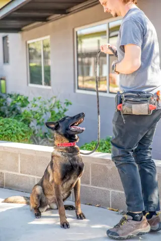 Veronica thumbnail 5