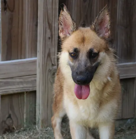 Callie Mae thumbnail 2