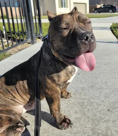 Franklin thumbnail 3