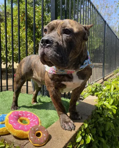 Franklin thumbnail 5