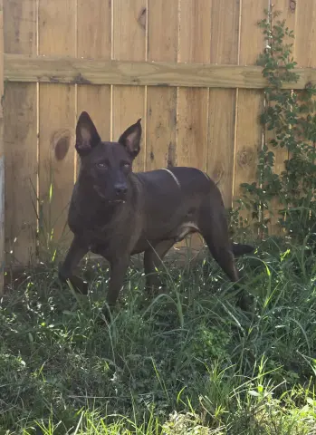 Casey Jones thumbnail 2