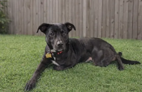 Charlotte thumbnail 2