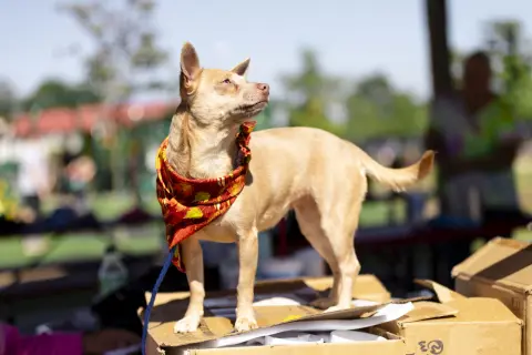 Penny Lee thumbnail 2