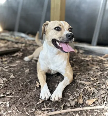 Lady Bird thumbnail 3