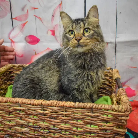 Wednesday thumbnail 4