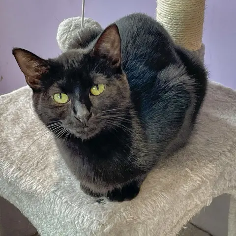 November thumbnail 2