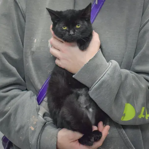 November thumbnail 5