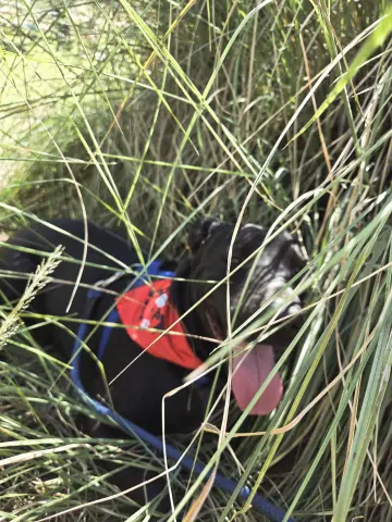 Augustus thumbnail 3