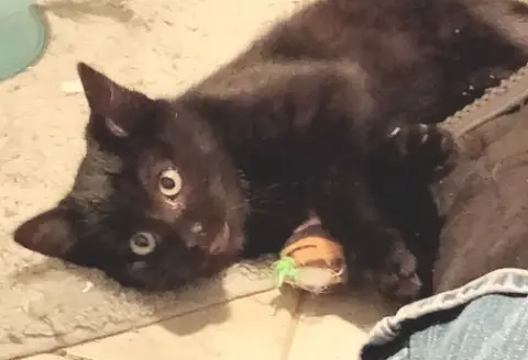 Obsidian thumbnail 2