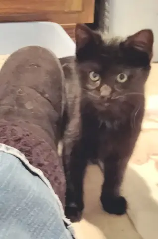 Obsidian thumbnail 3