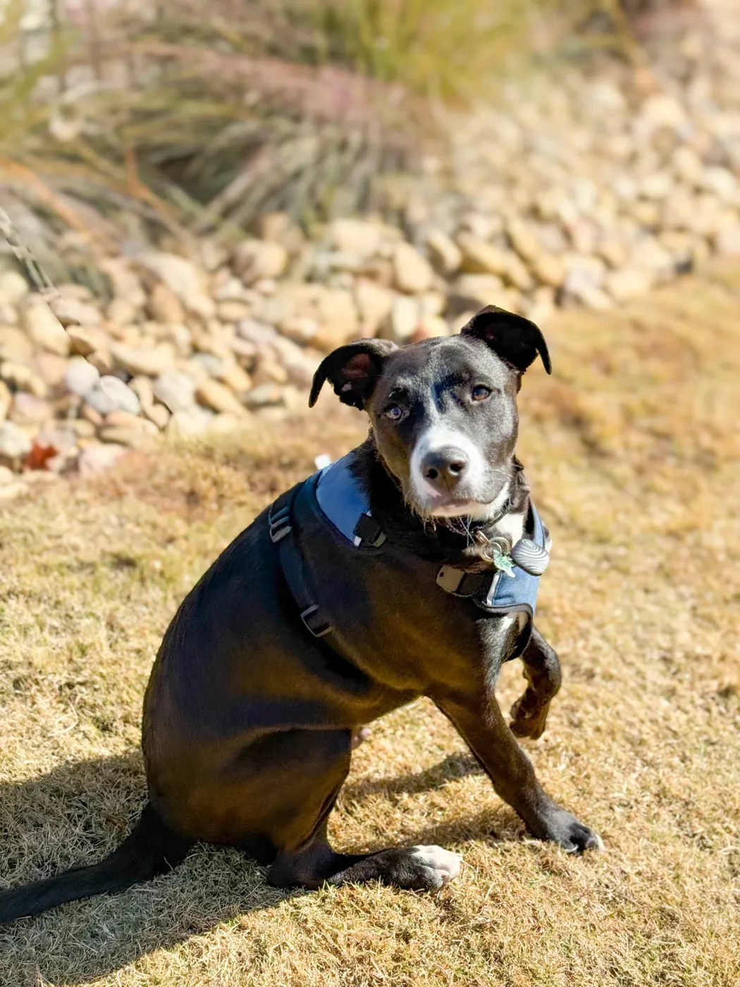 Ghirardelli - Photo 4