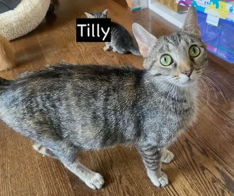 Tilly thumbnail 3