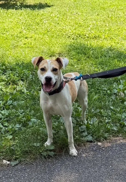 Marshmello - Photo 1