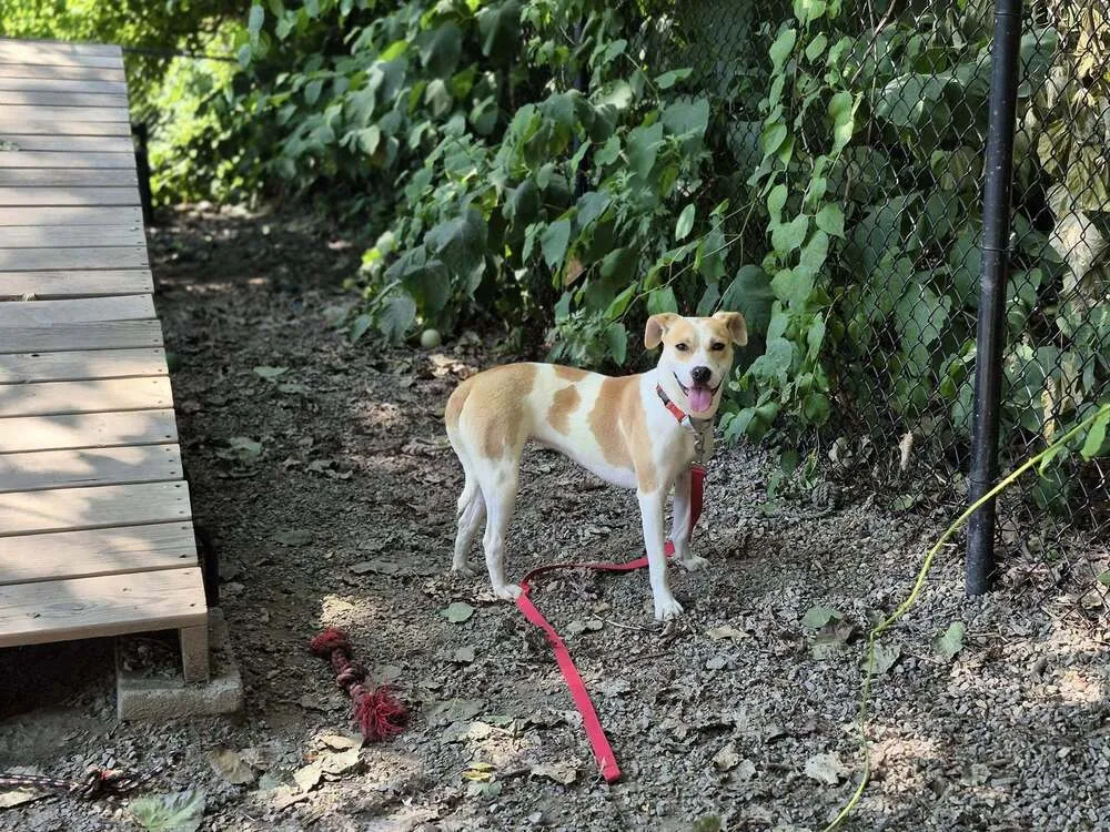 Marshmello - Photo 2